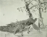 An illustration from Studio international (1893)