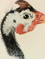 An illustration from Studio international (1893)