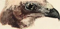 An illustration from Studio international (1893)