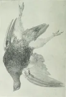 An illustration from Studio international (1893)