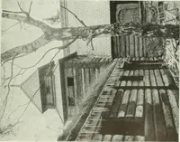 Picture 129 of 390 from Studio international (1893), leaf 116