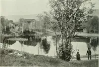 Picture 130 of 390 from Studio international (1893), leaf 117