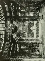 Picture 234 of 390 from Studio international (1893), leaf 219