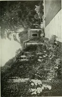 Picture 235 of 390 from Studio international (1893), leaf 220