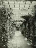 An illustration from Studio international (1893)