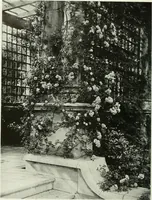 Picture 238 of 390 from Studio international (1893), leaf 223