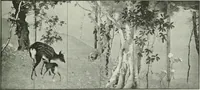 An illustration from Studio international (1893)