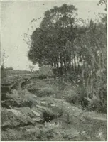 An illustration from Studio international (1893)