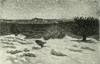 Picture 283 of 390 from Studio international (1893), leaf 261