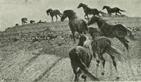 An illustration from Studio international (1893)
