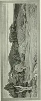 An illustration from Studio international (1893)