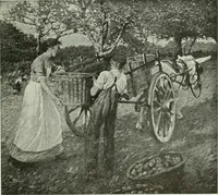 An illustration from Studio international (1893)