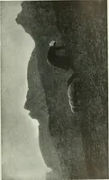 An illustration from Studio international (1893)