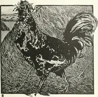 An illustration from Studio international (1893)