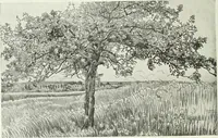 An illustration from Studio international (1893)