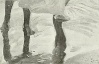 An illustration from Studio international (1893)