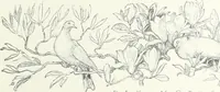 An illustration from Studio international (1893)