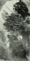An illustration from Studio international (1893)