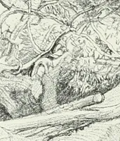 An illustration from Studio international (1893)