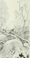 An illustration from Studio international (1893)
