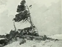 An illustration from Studio international (1893)