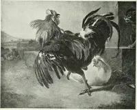 An illustration from Studio international (1893)