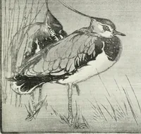 An illustration from Studio international (1893)