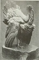 An illustration from Studio international (1893)