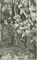 An illustration from Studio international (1893)