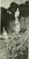 An illustration from Studio international (1893)