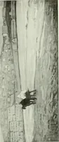 An illustration from Studio international (1893)