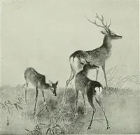 An illustration from Studio international (1893)