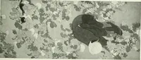 An illustration from Studio international (1893)
