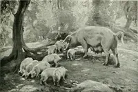 An illustration from Studio international (1893)