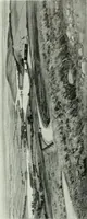 An illustration from Studio international (1893)