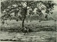An illustration from Studio international (1893)