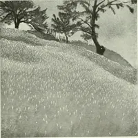 An illustration from Studio international (1893)