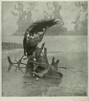 An illustration from Studio international (1893)