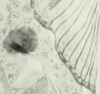 An illustration from Studio international (1893)