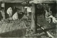 An illustration from Studio international (1893)