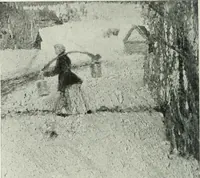 An illustration from Studio international (1893)