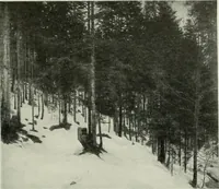 An illustration from Studio international (1893)