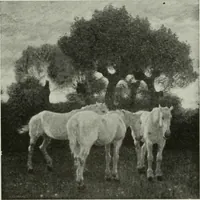An illustration from Studio international (1893)