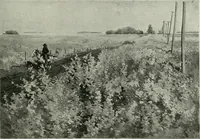 An illustration from Studio international (1893)
