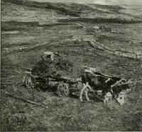 An illustration from Studio international (1893)