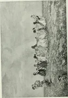 An illustration from Studio international (1893)