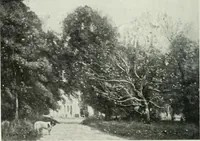 An illustration from Studio international (1893)
