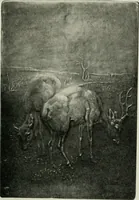 An illustration from Studio international (1893)