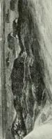An illustration from Studio international (1893)