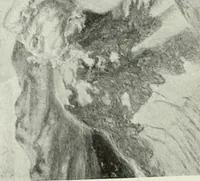 An illustration from Studio international (1893)